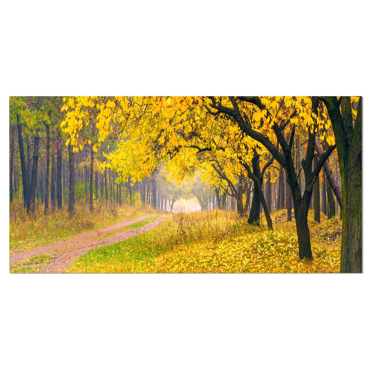 Designart - Bright Yellow Autumn Forest - Landscape Photo Canvas Art Print